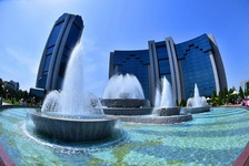 Фавворалар куни!