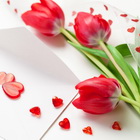 Brand 910да 8 март