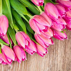 Sato ресторанида 8 март