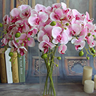 Супер скидка от Yellow