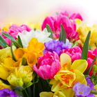 Навруз в  CMI Afterparty bar