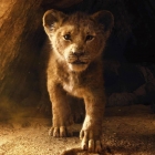 Смотрите трейлер фильма «Король Лев»