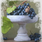 Мастер-класс «Летние фрукты с натуры» в AUTOGRAPH