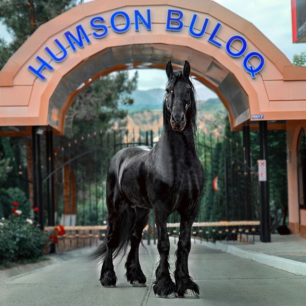 Humson Buloq