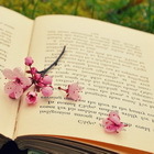 Июнь. Книжное воскресенье
